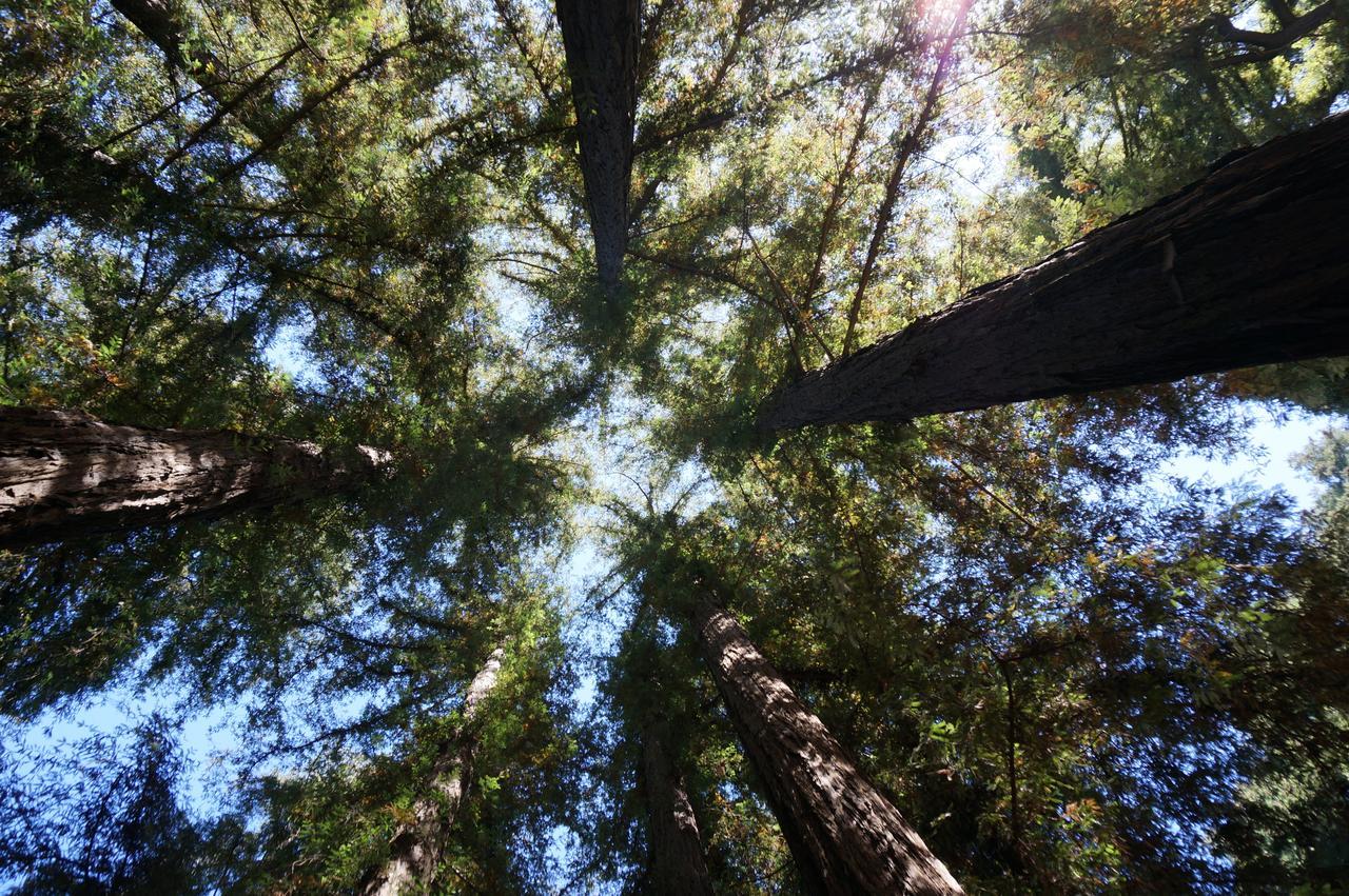 Riverside Campground & Cabins Big Sur Buitenkant foto